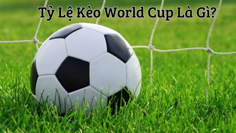 Ty-le-keo-World-Cup