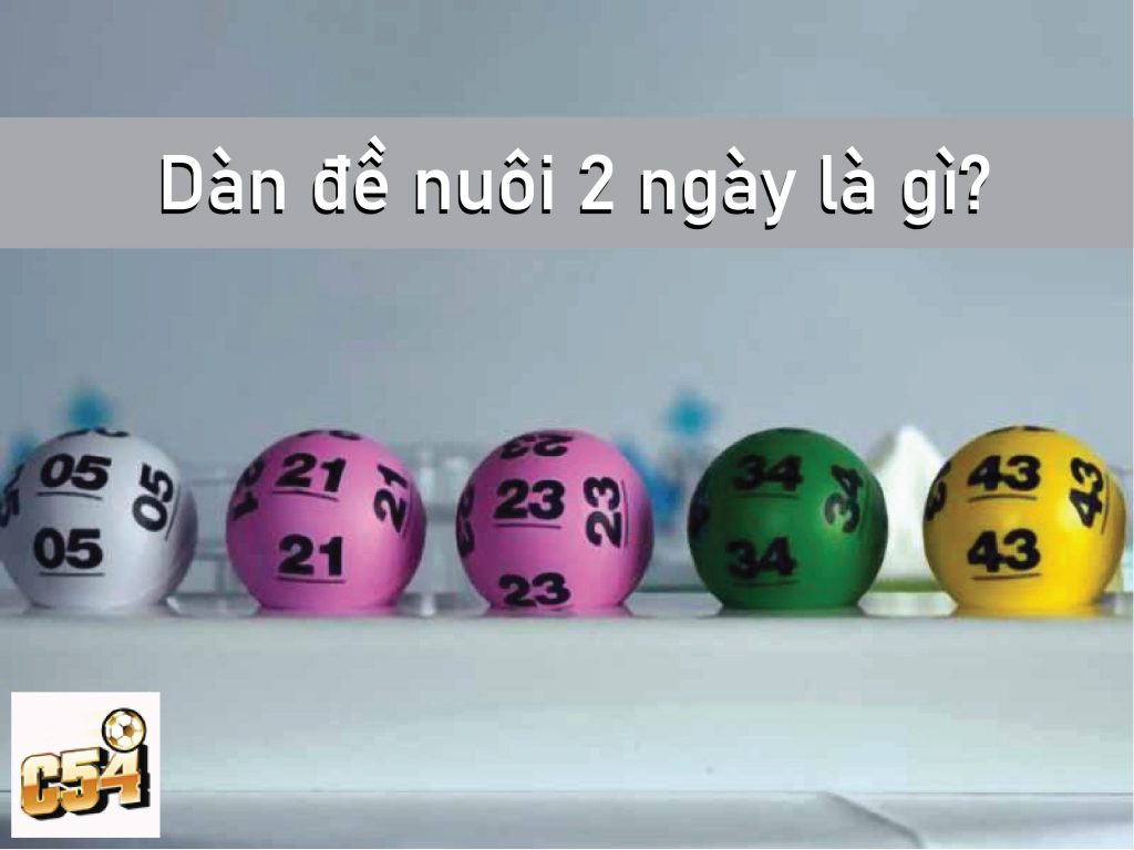 Dàn đề nuôi 2 ngày là gì?